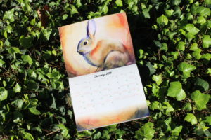 Rabbit watercolor
