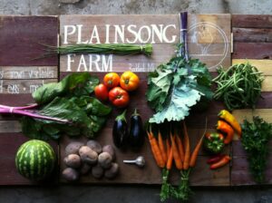 Plainsong Farm vegetables