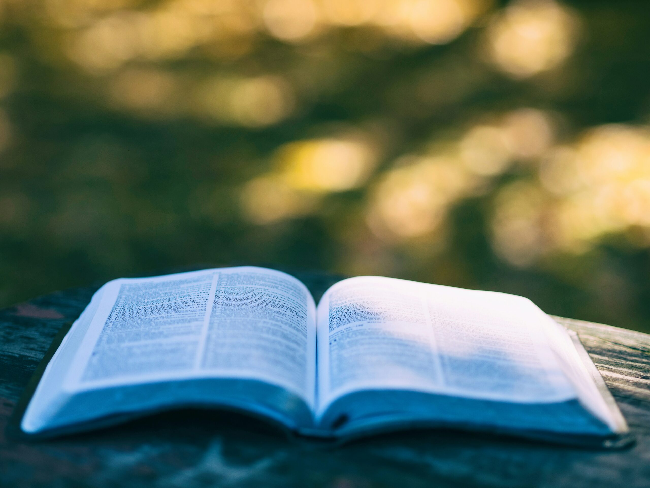 A Bible on a wooden table outside, with a sunny forest scene in the background