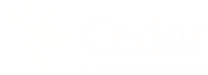 The Center for Discipleship and Renewal at Forward Movement - logo reverse